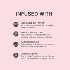 KEVIN.MURPHY Angel.WASH proteína avena hidrolizada: fortalecimiento suave.