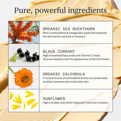 Ursa Major Golden Hour ingredientes naturales y veganos para la piel