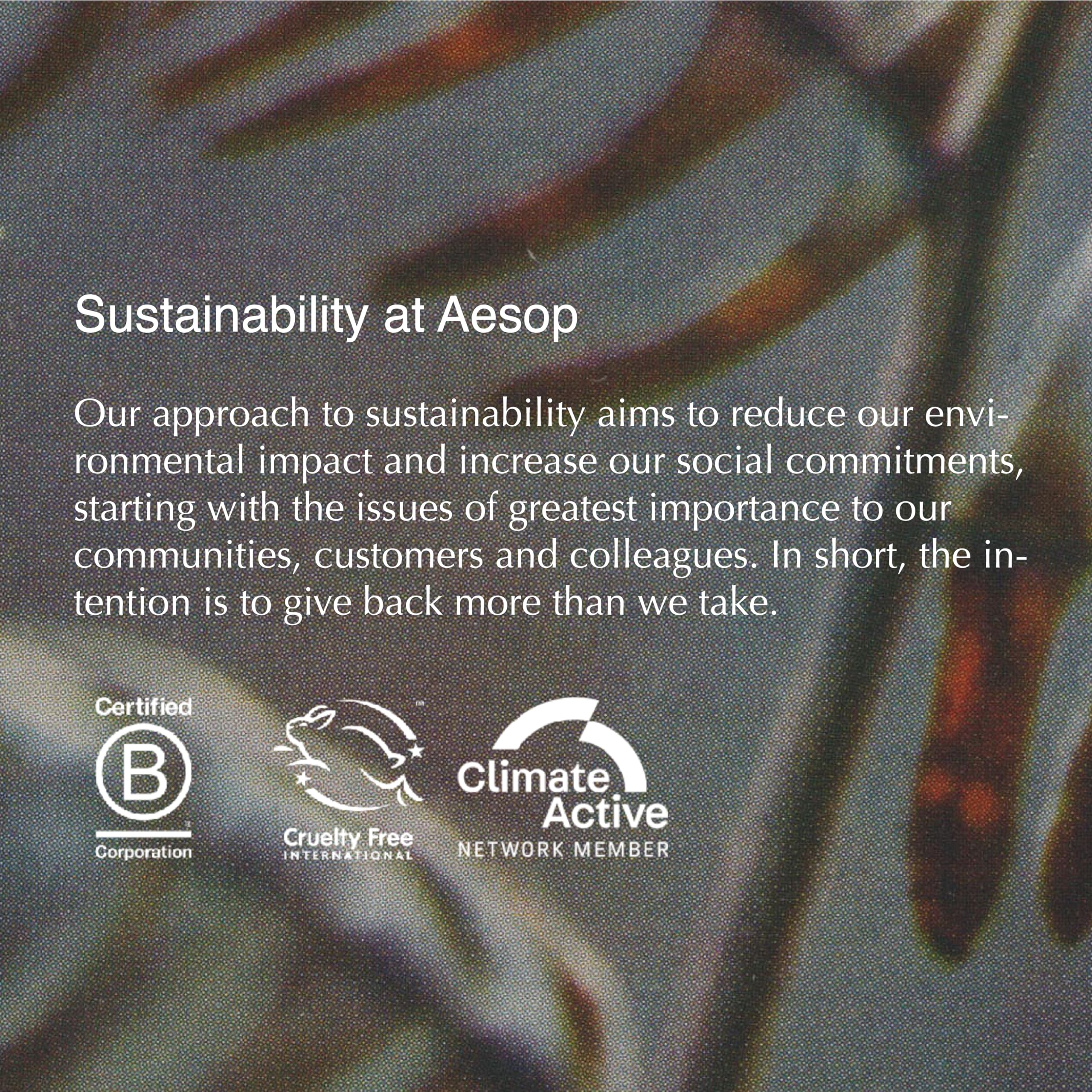 Aesop Redemption aroma alpino que realza la experiencia de ducha.