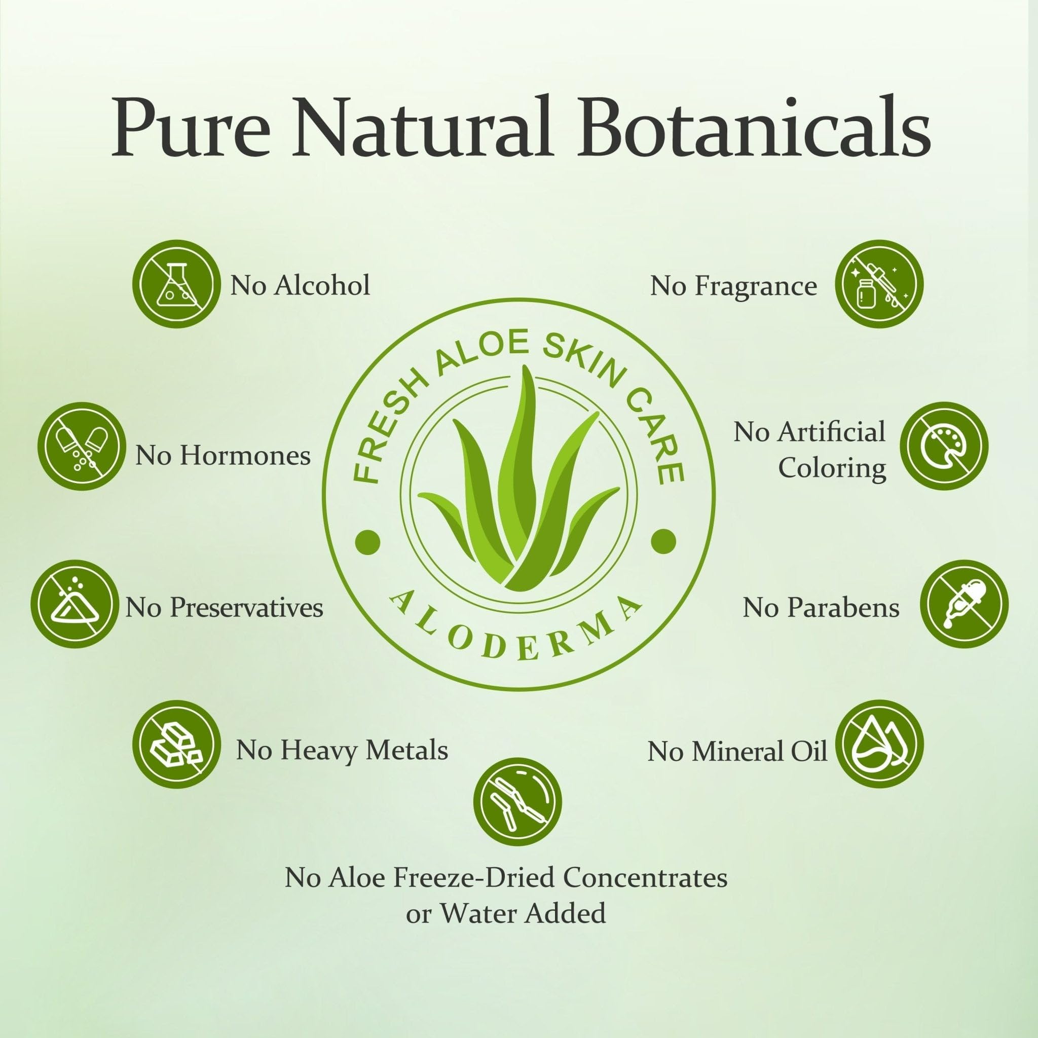 Aplicación en la palma de la mano con Aloderma Aloe Nourishing Shampoo