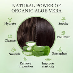 Etiqueta de Aloderma Aloe Nourishing Shampoo sin alcohol para piel sensible