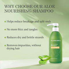Ingredientes orgánicos visibles en Aloderma Aloe Nourishing Shampoo