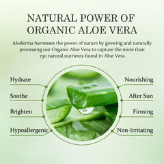 Aloderma gel Aloe: envase sencillo para una rutina de cuidado diario.