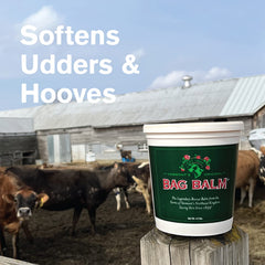 Bag Balm talones agrietados, ayuda a suavizar la piel áspera.