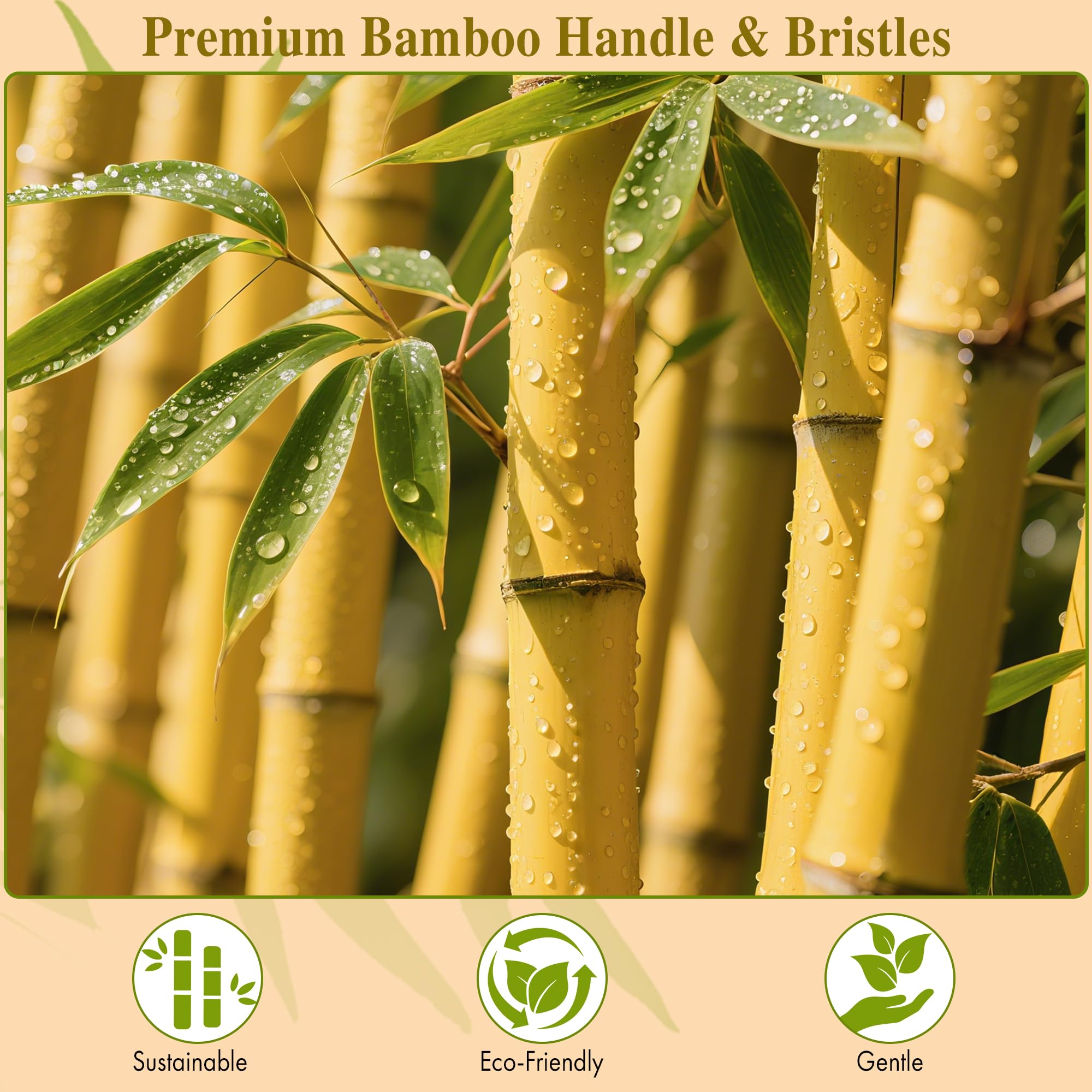 BFWood mango de madera ergonómico con agarre cómodo
