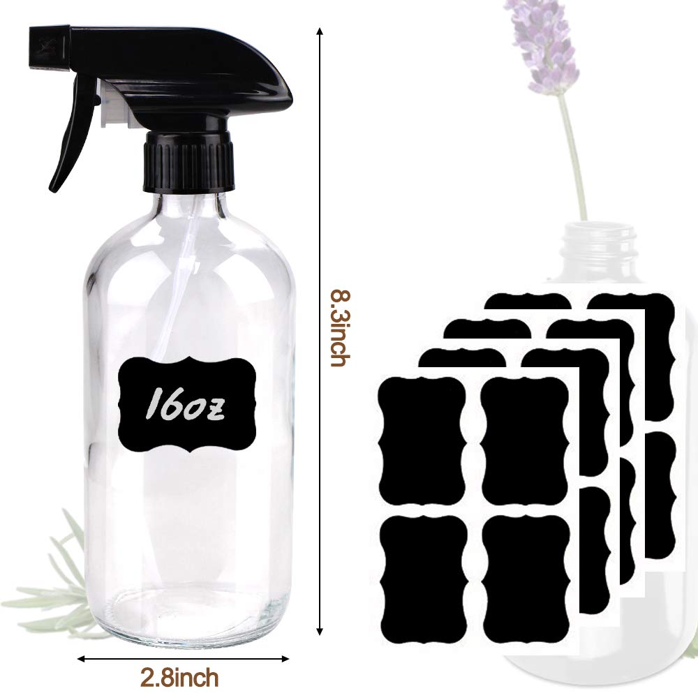 Botella de vidrio transparente Bontip 16 oz, duradera y reutilizable.