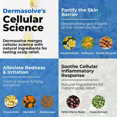 Dermasolve Revitaliza cabello: textura más viva y saludable.