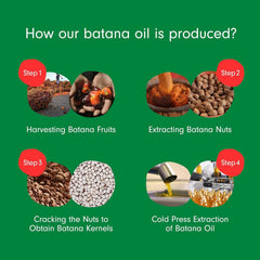Dersie Batana Oil, aplicación suave para peinar y definir el cabello