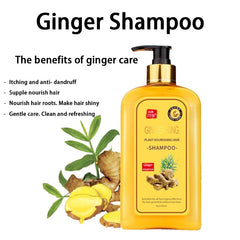 Dosoecse Ginaday: cuero cabelludo saludable con jengibre para cabello más fuerte.