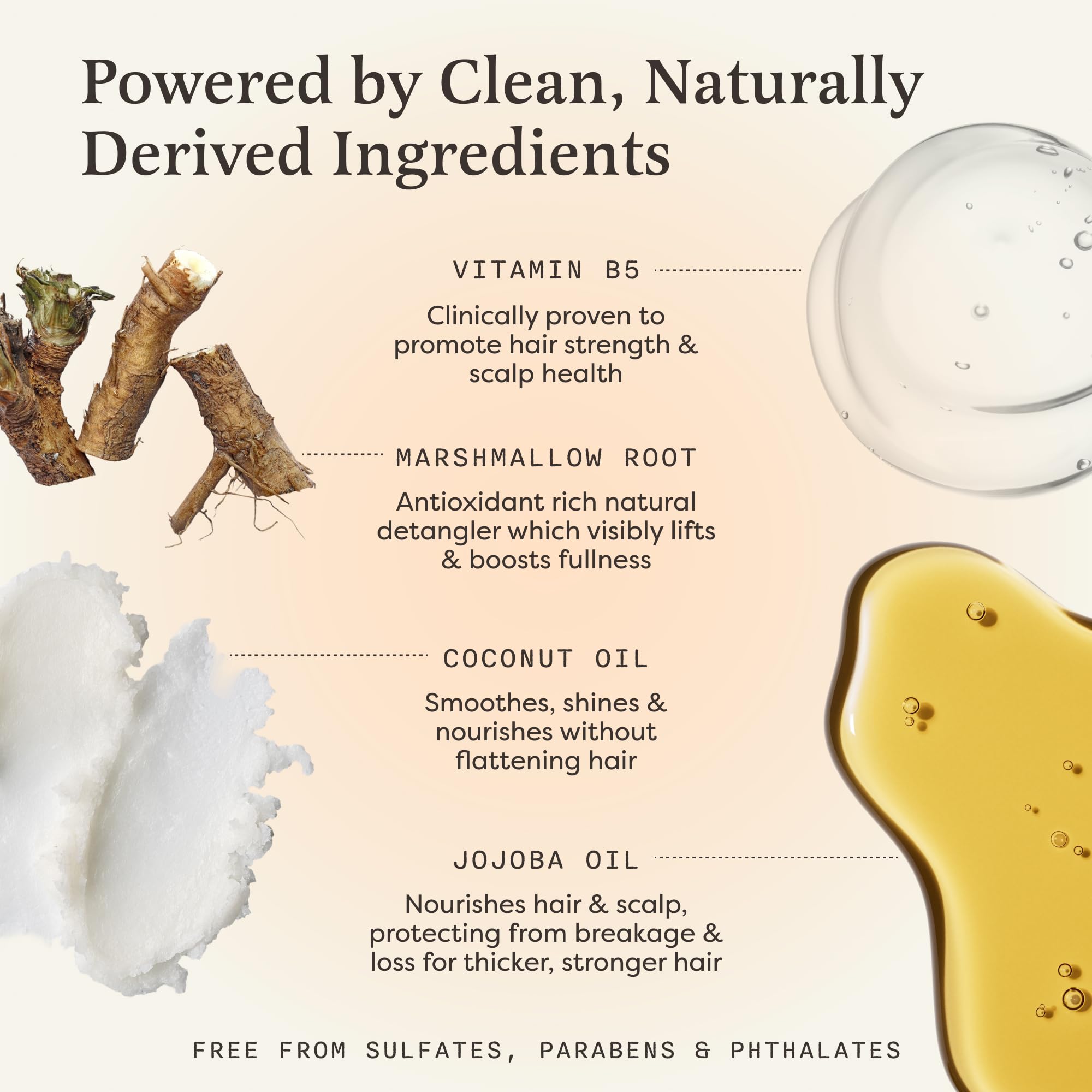 Earthling Co.: extractos de raíz de malvavisco y saúco con jojoba.