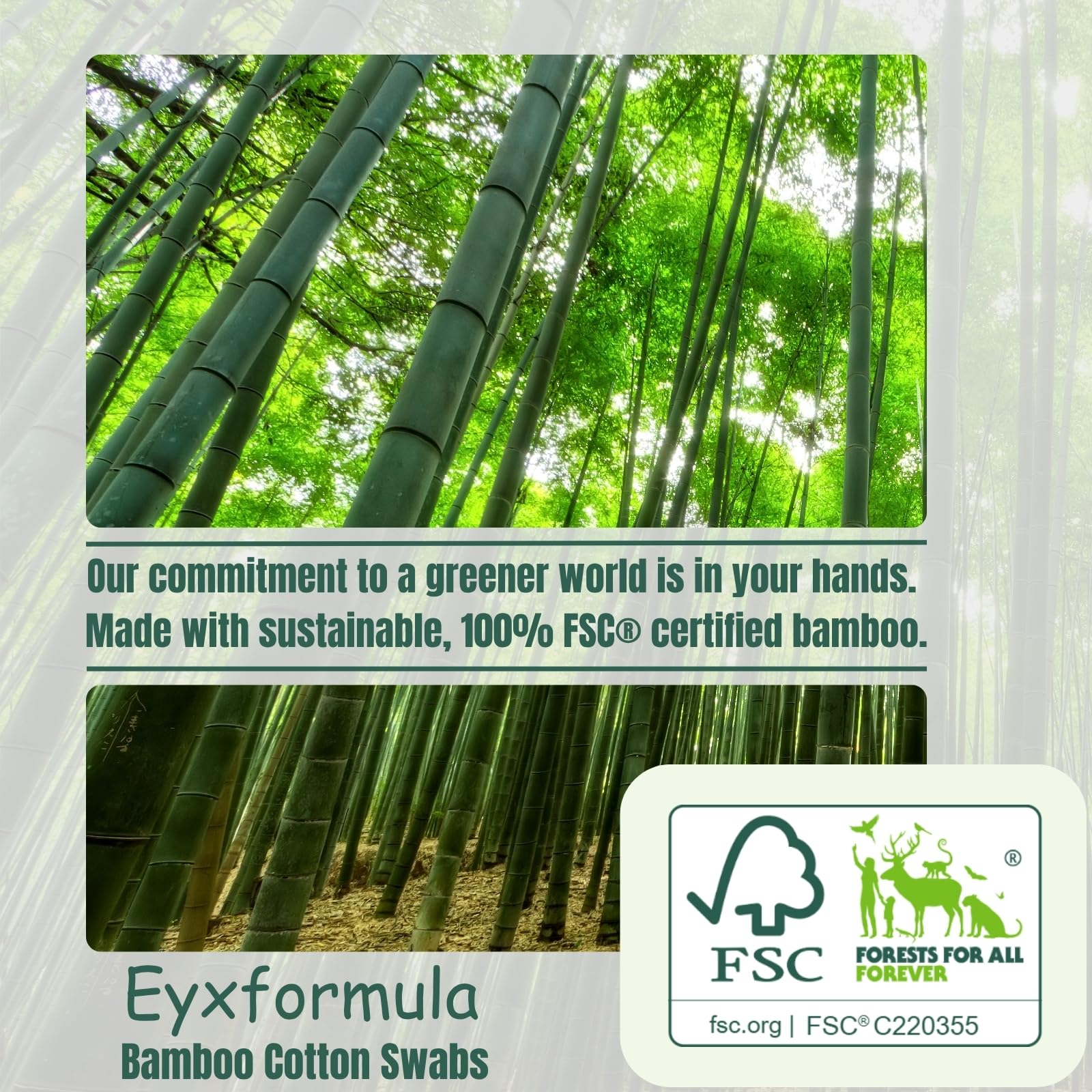 Eyxformula aplicadores de madera con punta de algodon para maquillaje seguro
