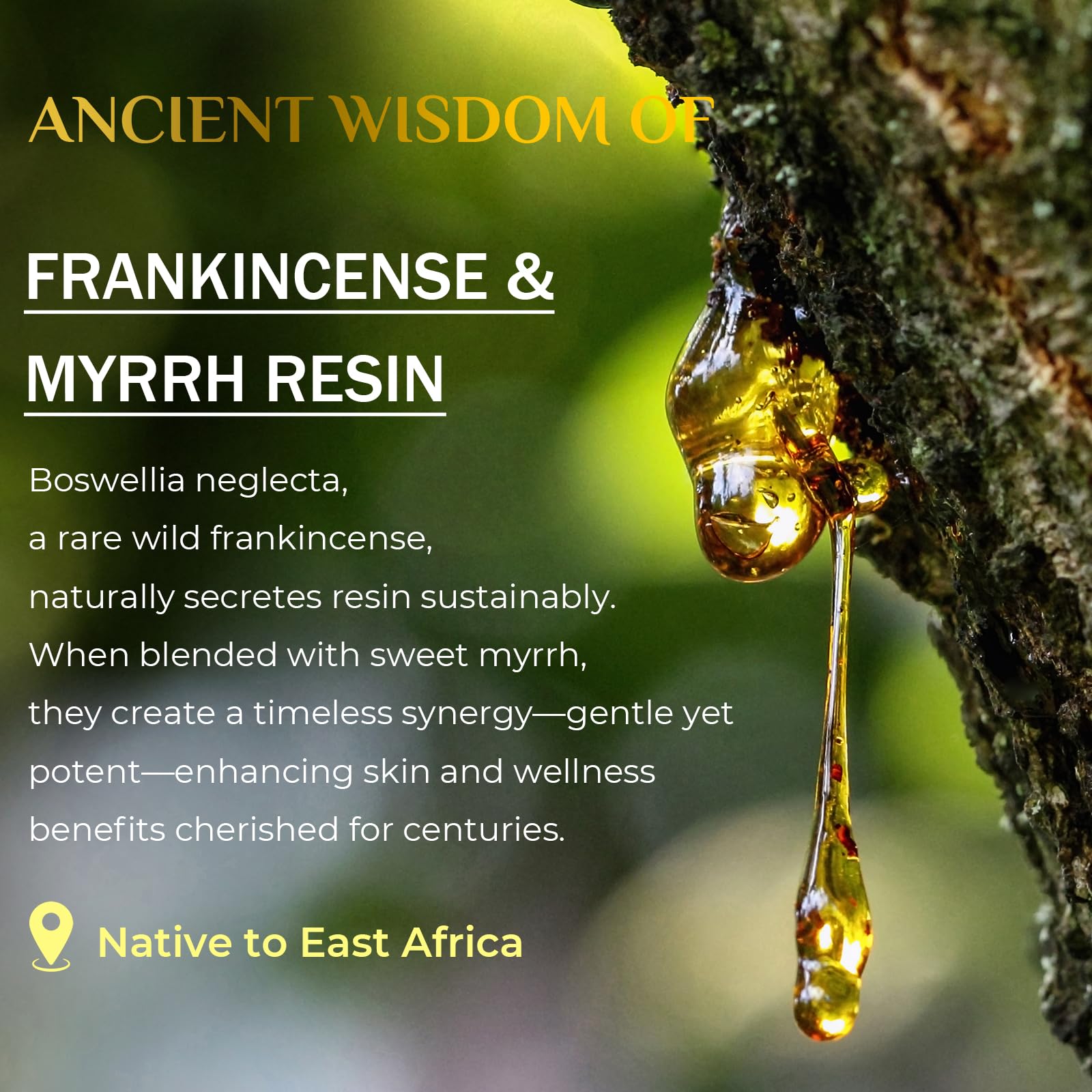 FeeMeFee Frankincense Balm pour jar shows easy, mess-free dispensing.