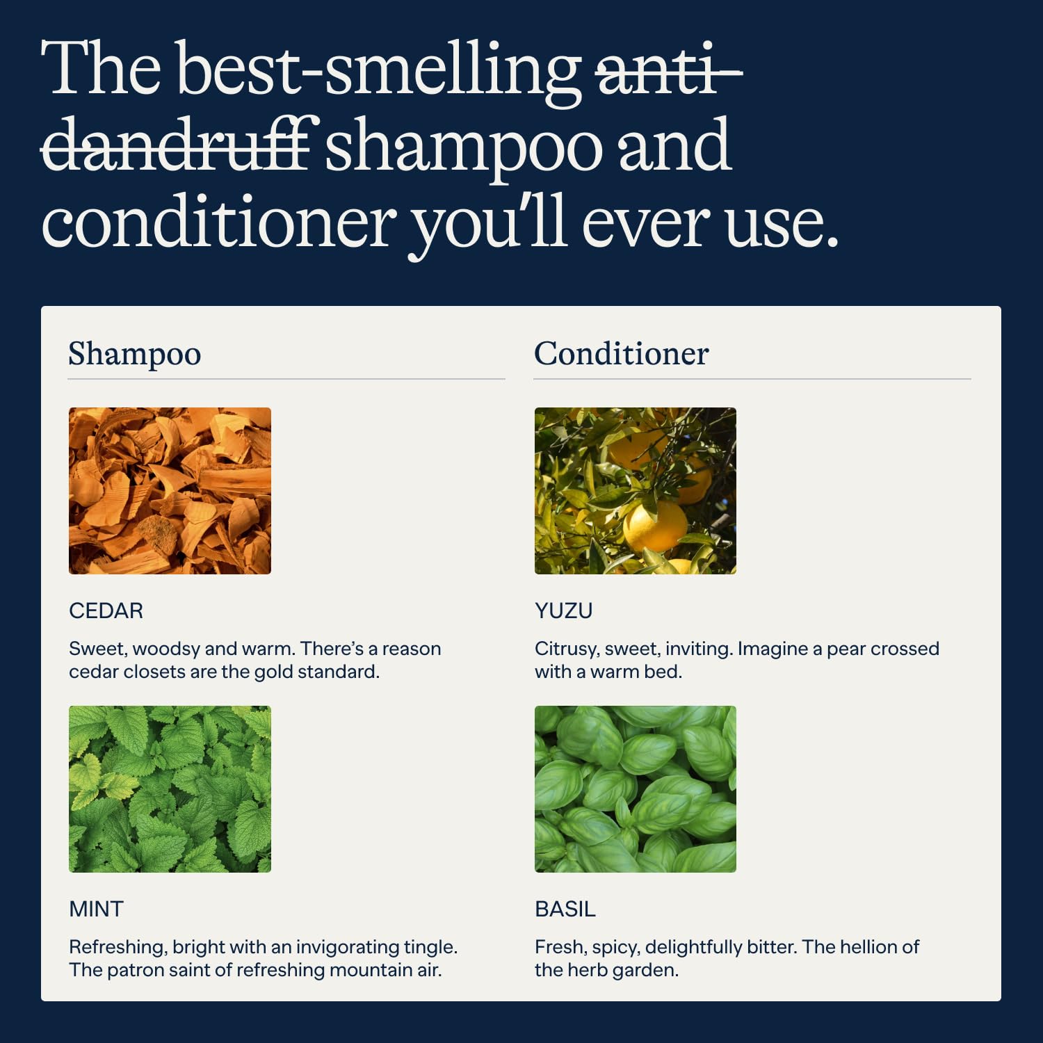 Flakes set anticaspa para hombres con envase práctico.