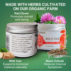Four Elements 4E Wild Yam Balancing Cream jar highlighting rich botanicals for daily skin care.