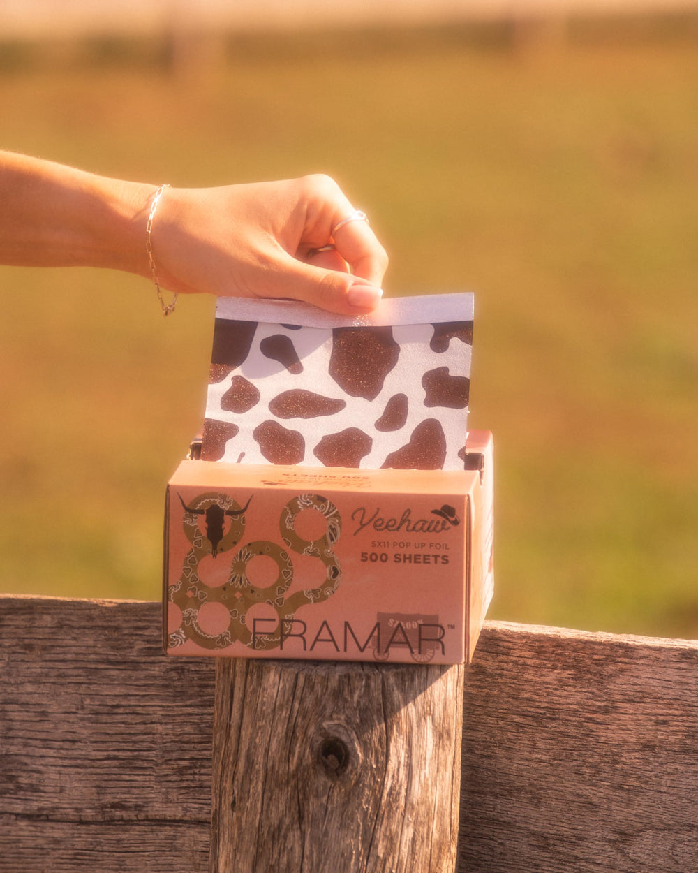 Framar Yeehaw diseño espacioso para estaciones de salón con organización óptima.