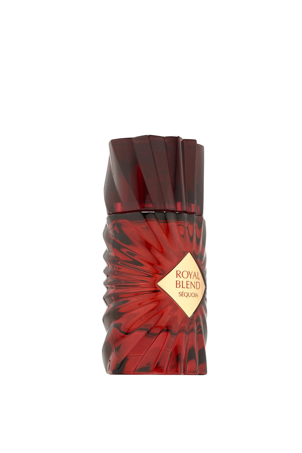Detalle de la tapa de French Avenue Royal Blend Sequoia, toque premium para el ritual matutino.