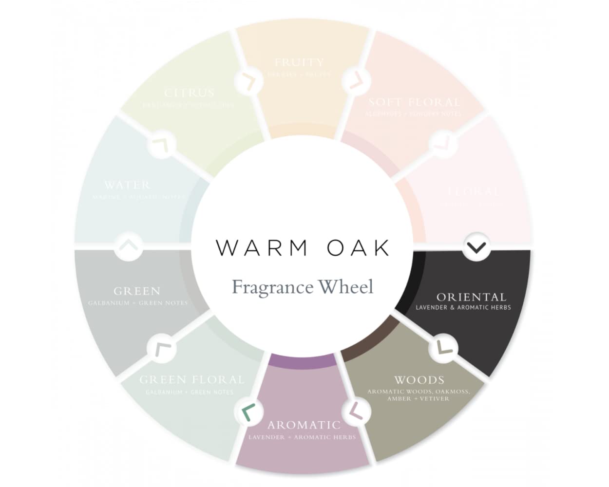 Gilchrist & Soames Warm Oak Shampoo, etiqueta elegante que inspira cuidado diario.