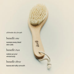 goop Cepillo Seco de Belleza; cerdas de sisal naturales que eliminan células muertas y dejan brillo
