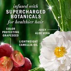 Aceite de camellia en Herbal Essences aporta nutrición ligera