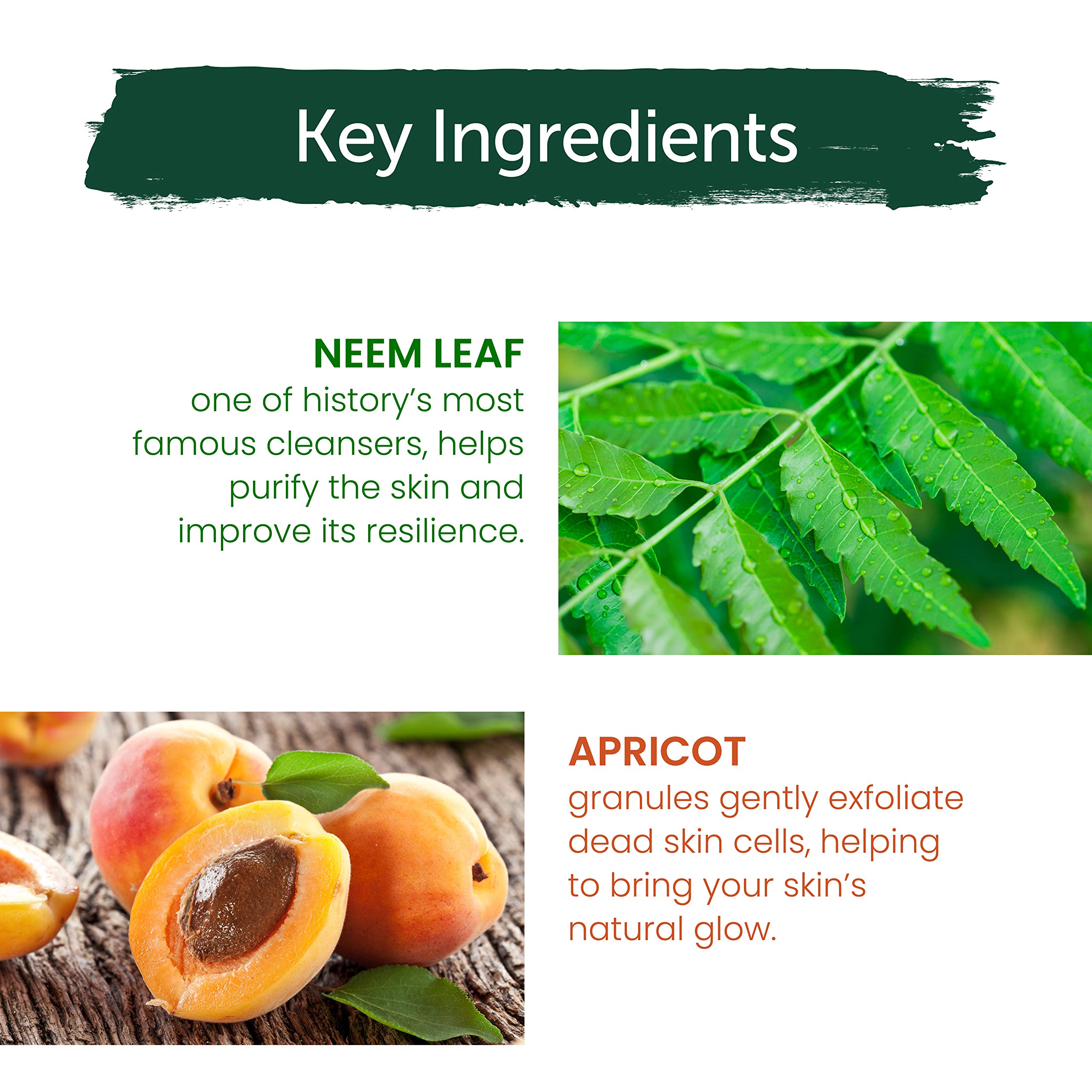 Ingredientes clave Neem y albaricoque para limpieza suave
