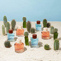 Embalaje elegante de Hollister Canyon Escape, perfecto para regalo o colección