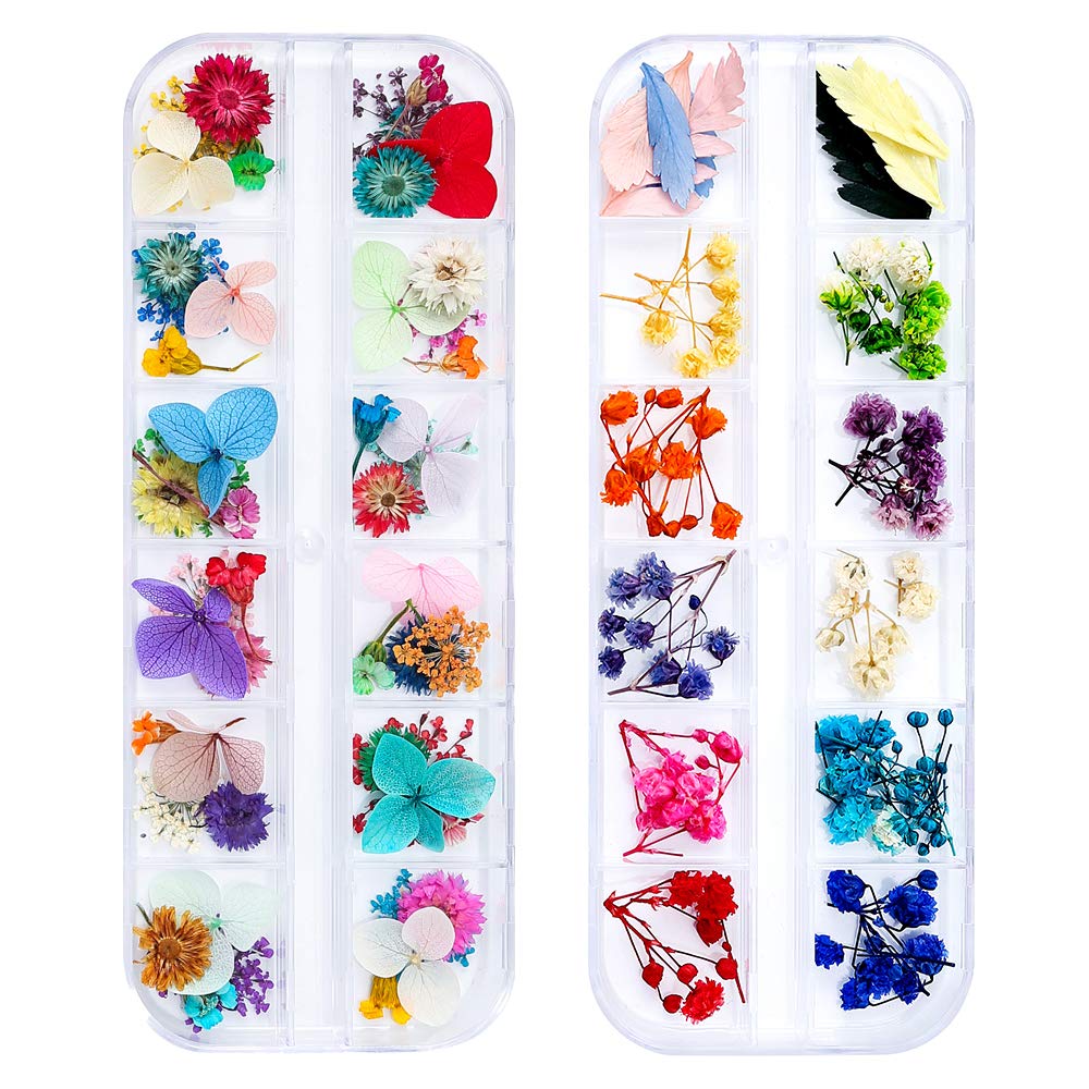 iFancer flores secas para uñas seis tipos, diseño natural