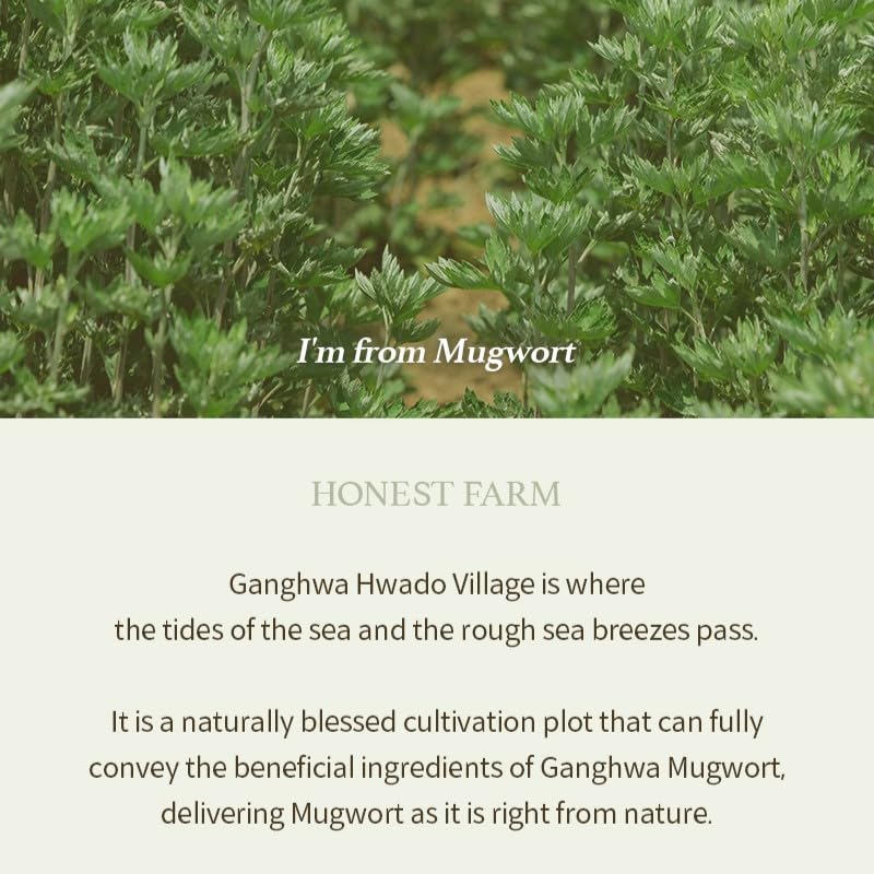 I'm from Mugwort Gel Limpador, ingredientes herbales de artemisa para cuidado diario