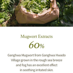 I'm from Mugwort Gel Limpador, textura gel suave para rostro