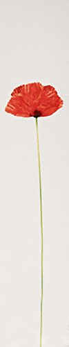 Kenzo Flower por Kenzo, detalle de incienso, aroma sutil y envolvente.
