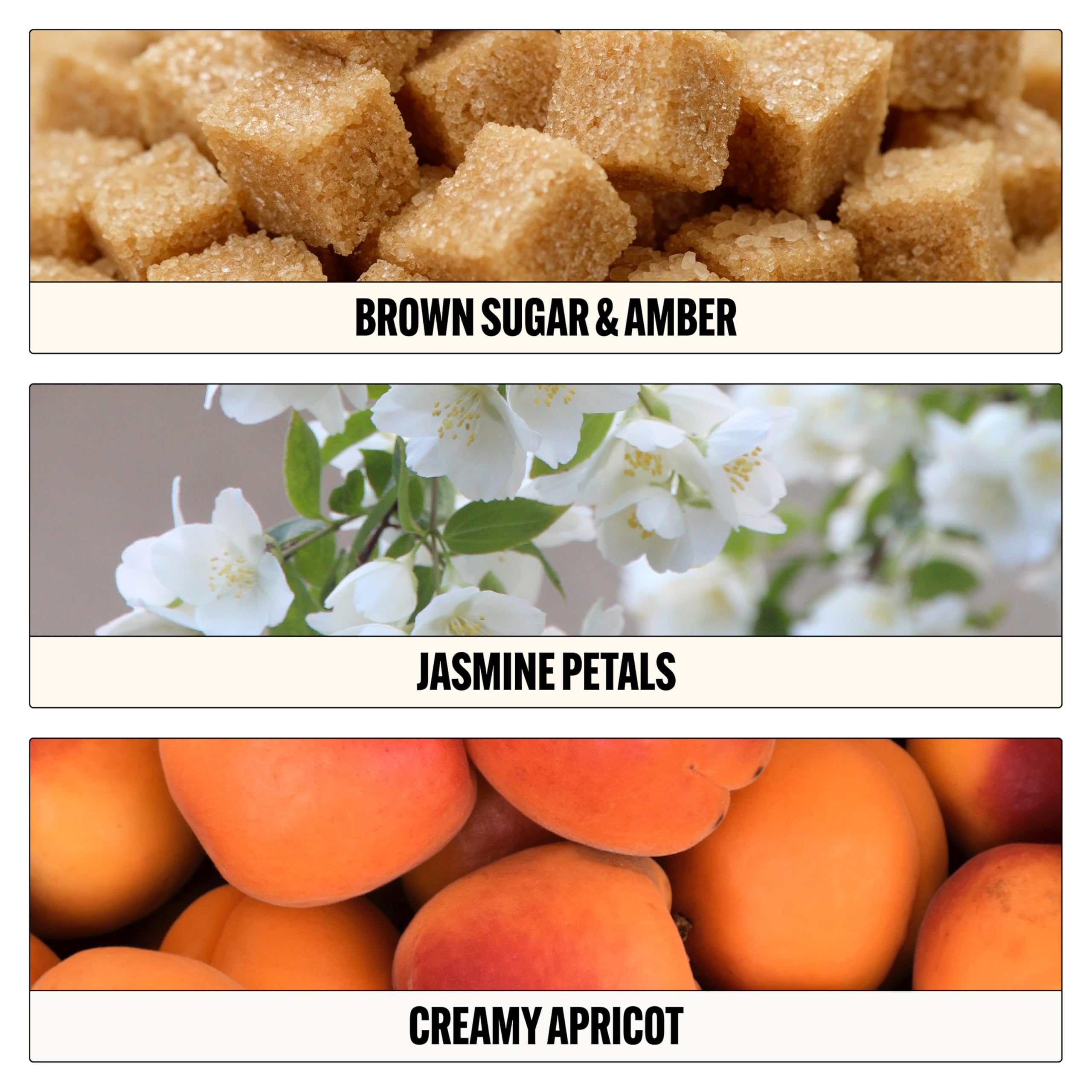 Le Monde Gourmand Crème Vanille ritual diario de perfumado.