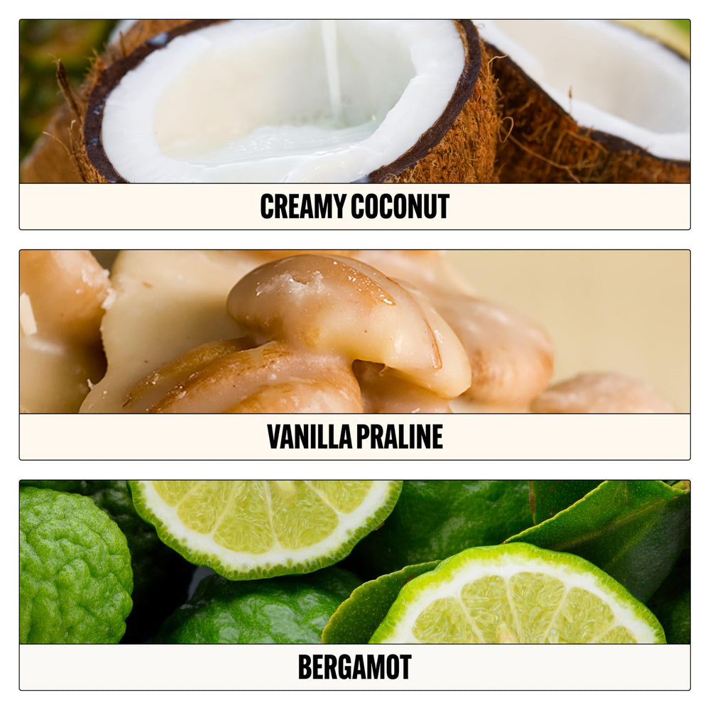 Notas de vainilla praline en Le Monde Gourmand Lait de Coco, toque cálido.