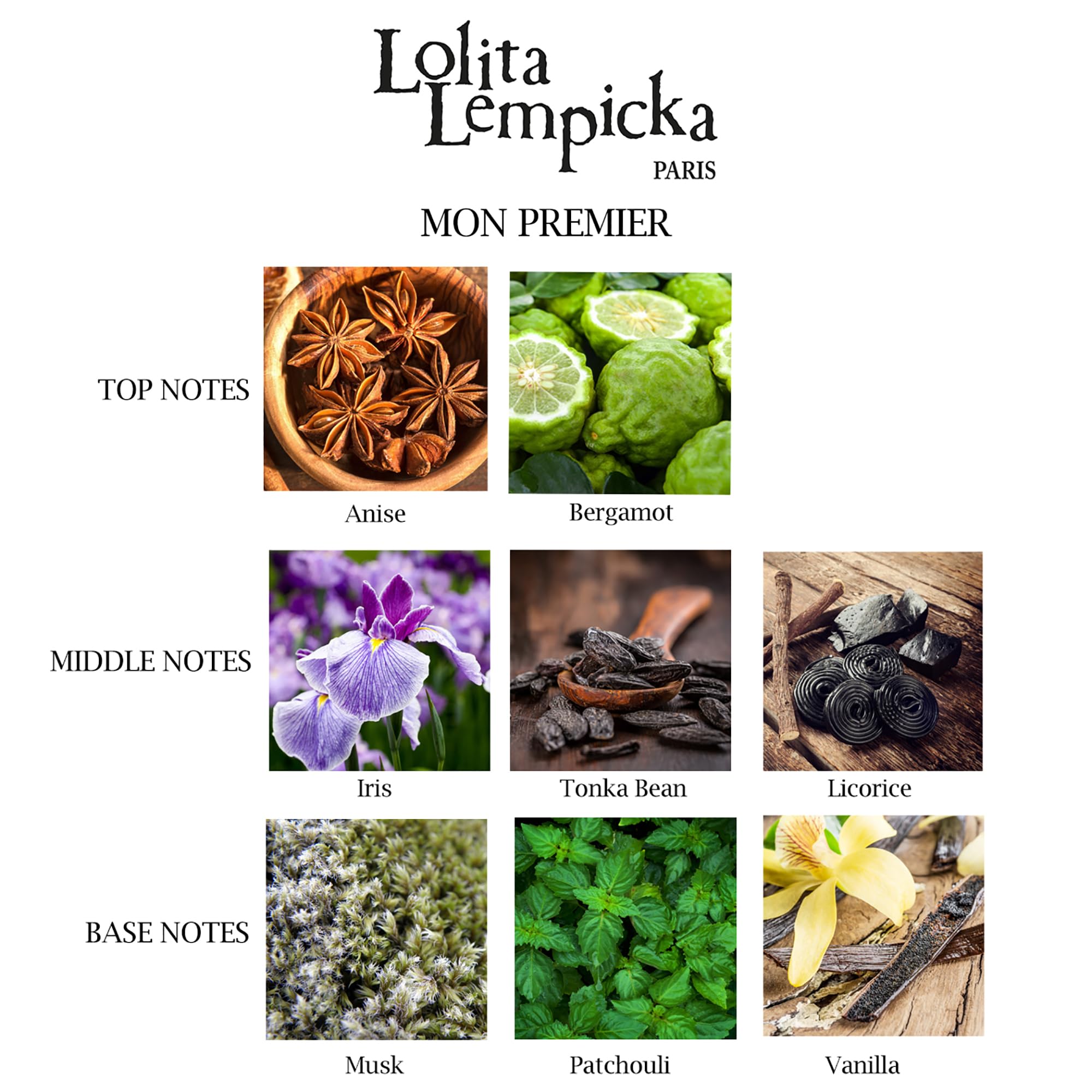 Lolita Lempicka Mon Premier licorice-note close-up, highlighting a distinctive blend.