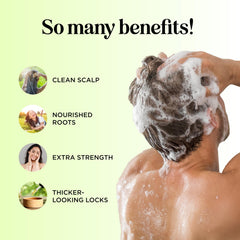 Maple Holistics Champú con romero y árbol de té, botella destacada para cabello suave y limpio.