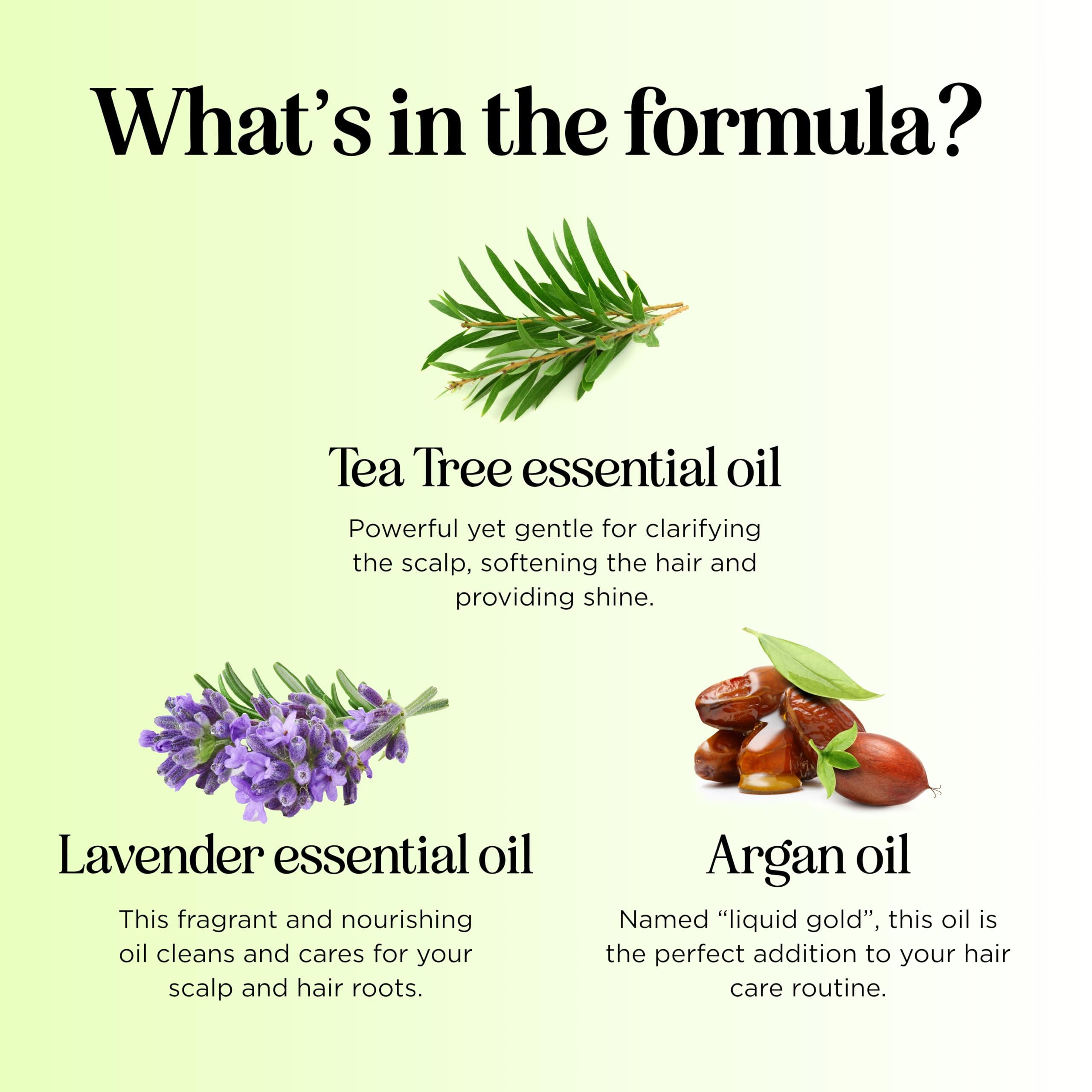 Maple Holistics Champú Clarificante, botella clara para uso diario con ingredientes naturales.