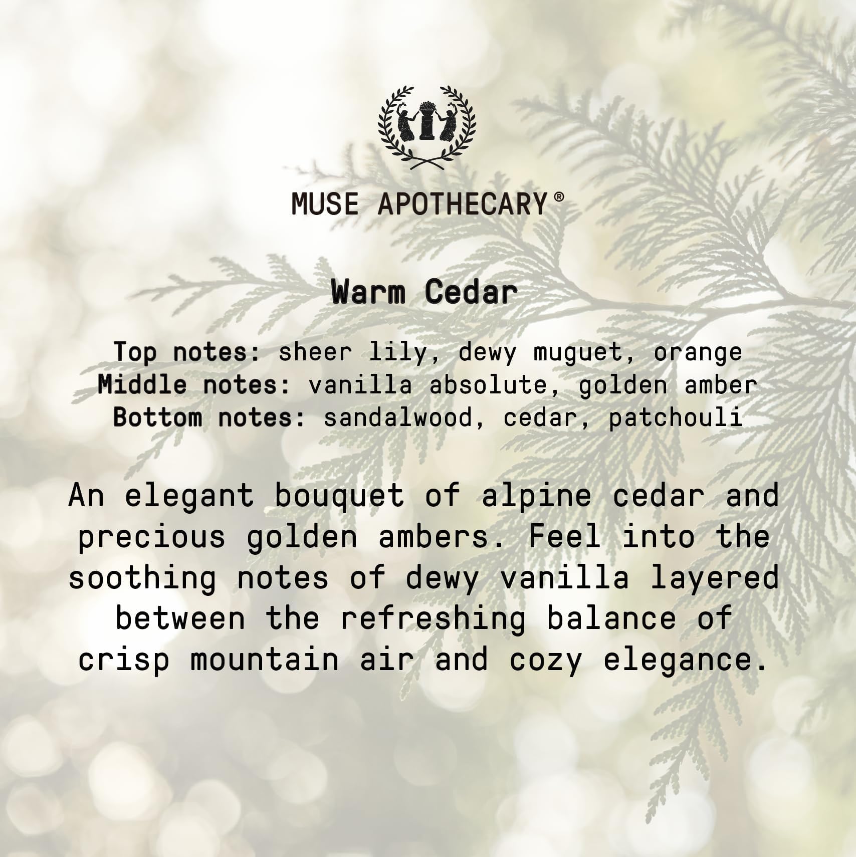Muse Apothecary Rituel Main – emballage cadeau idéal pour offrir soin et hydratation