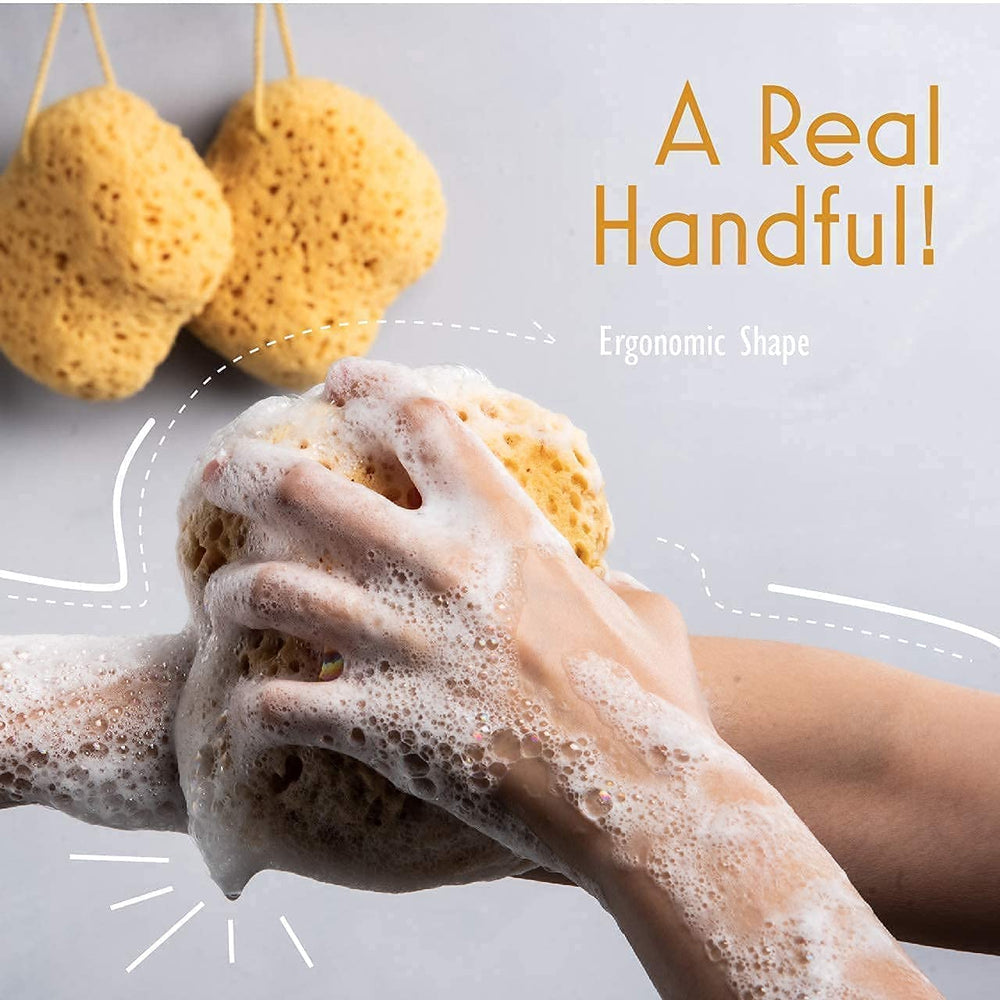 myHomeBody esponja de baño de una pieza, duradera y confiable