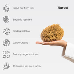 Naroa: esponja grande para exfoliar poros de forma suave