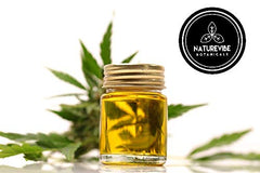 Naturevibe Botanicals Aceite de Neem, cuidado capilar suave y nutritivo