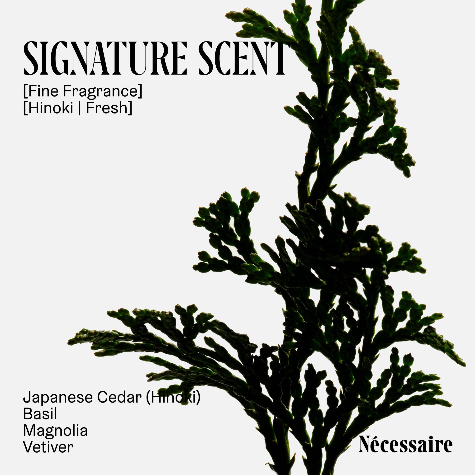 Nécessaire Hinoki: glicerina e hidratación para la piel después de la ducha.