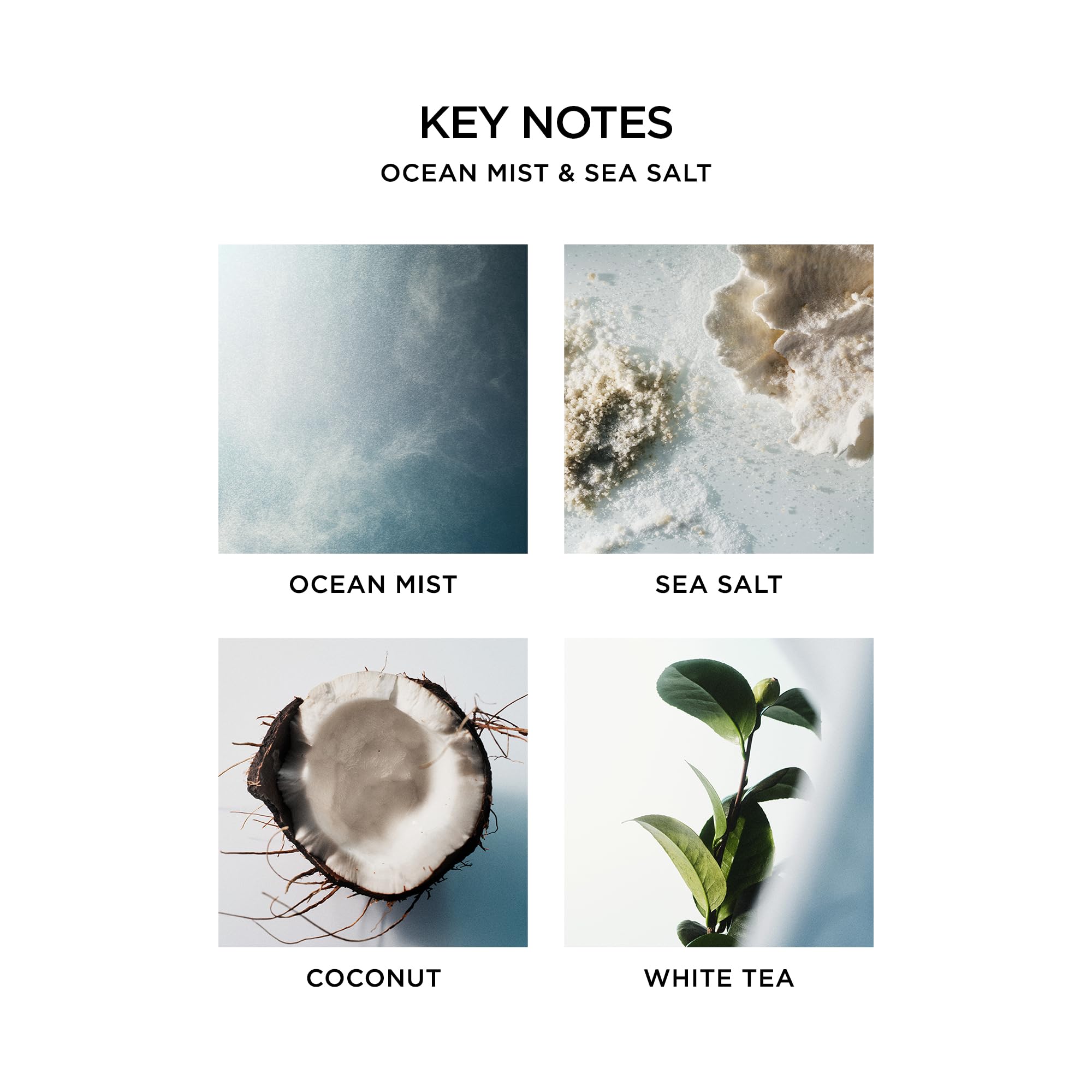 Nest New York Jabón líquido coco: nota tropical para la ducha diaria.