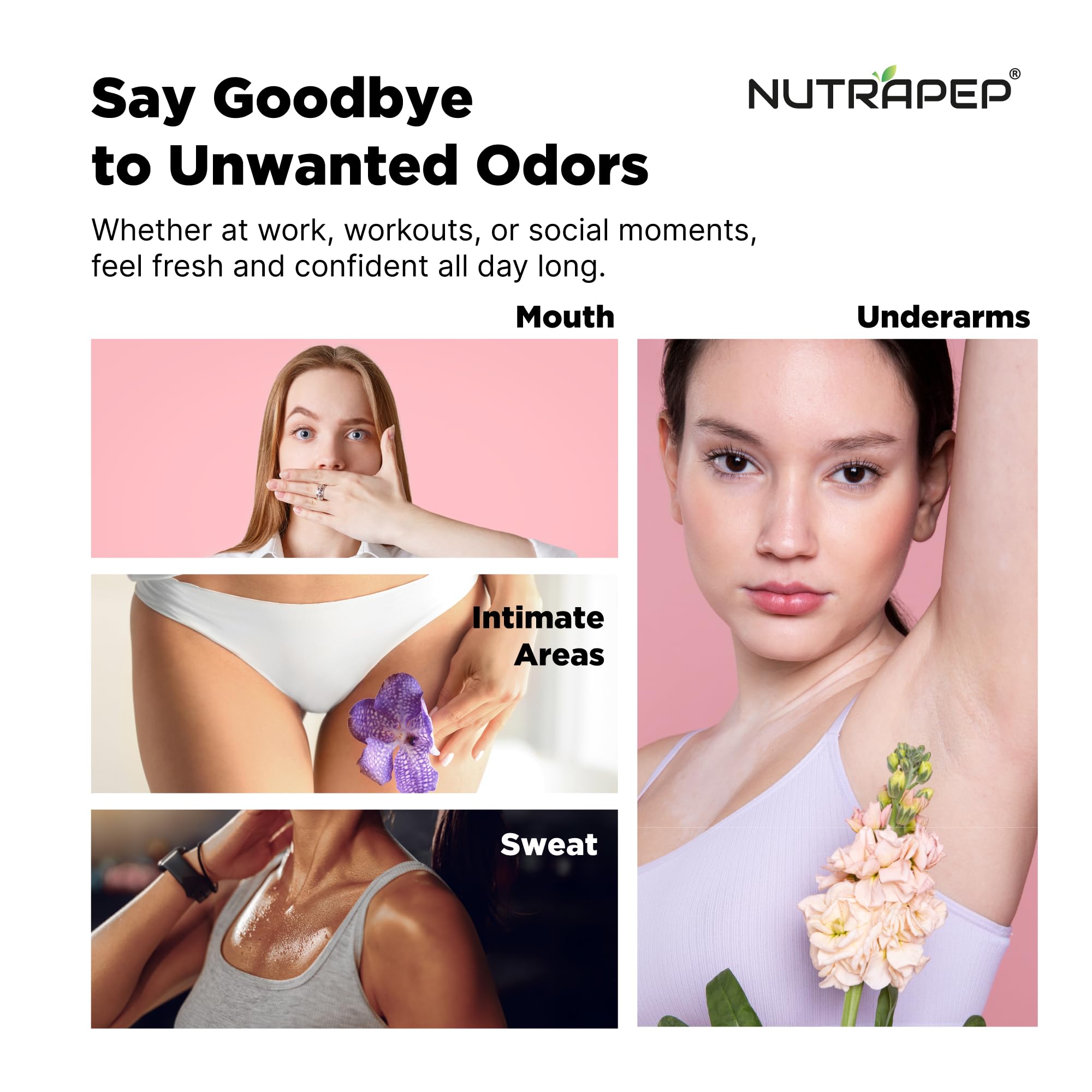 NutraPep complejo clorofila frasco, base verde para la frescura interna
