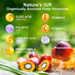 Okutani Batana Aceite Puro: aplicación diaria en cabello.
