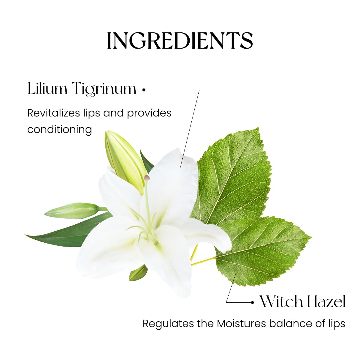 The wand delivers smooth, precise application for effortless lip color.