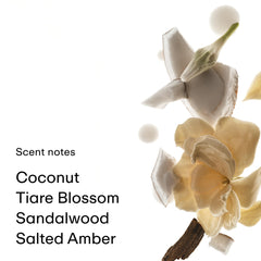 PHLUR Bruma Coco Piel muestra notas aromáticas de coco y caramelo