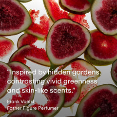 PHLUR Father Figure notas principales para experiencia sensorial equilibrada.
