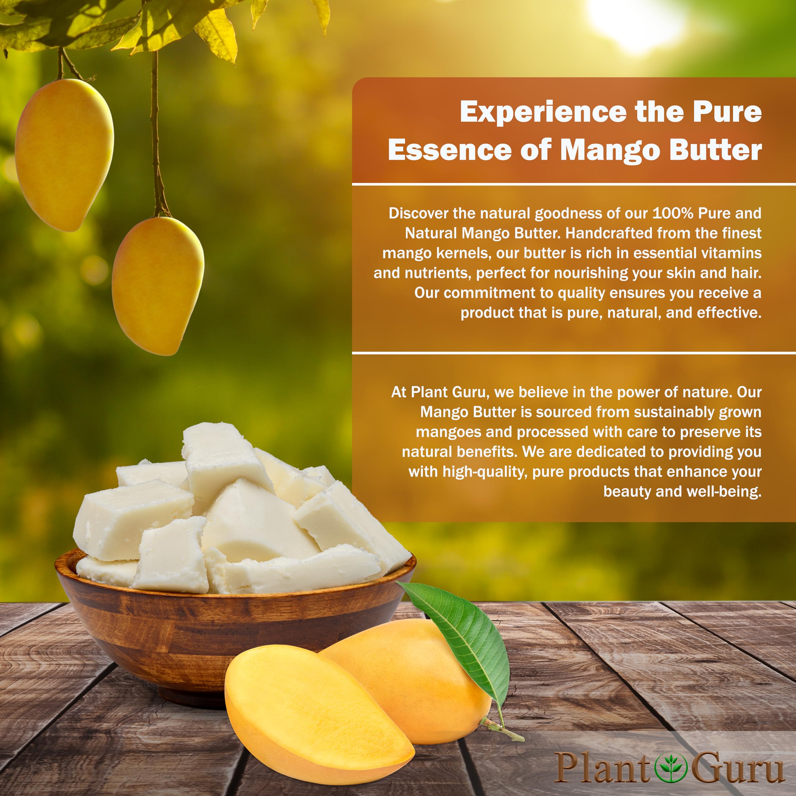 Plant Guru manteca de mango cruda, cabello nutrido y brillo saludable