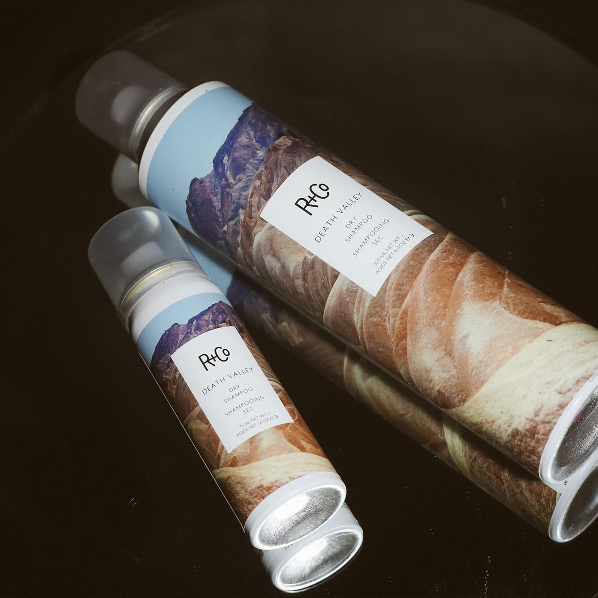 R+Co Death Valley cabello seco: absorbe grasa y restaura frescura.