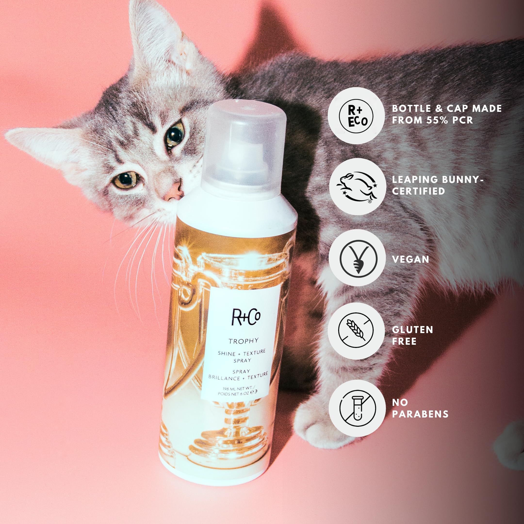 R+Co Trophy ayuda a eliminar grasa e impurezas para un cabello fresco