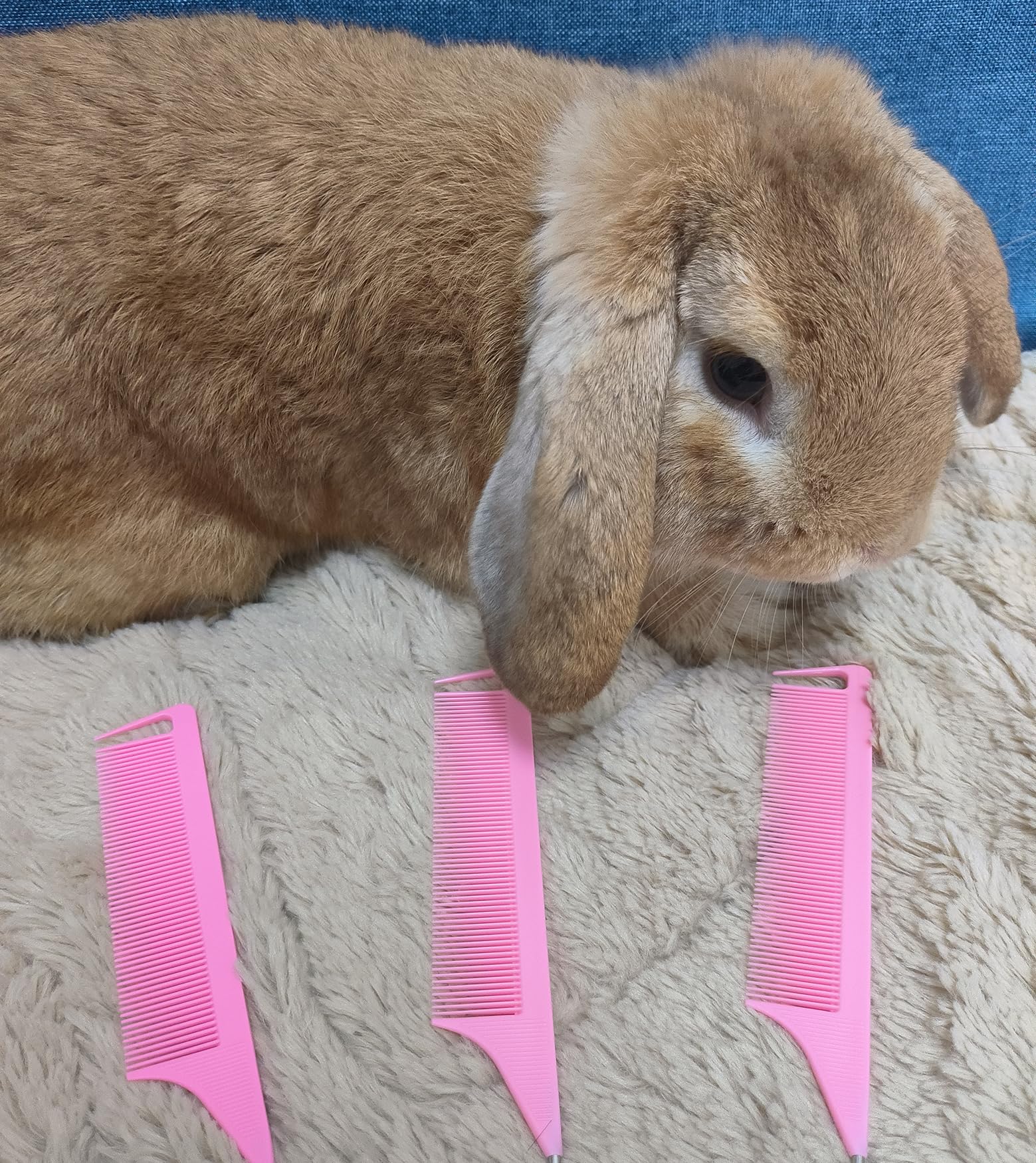 Peine para peinado rosa de Rabetly, cómodo y preciso.