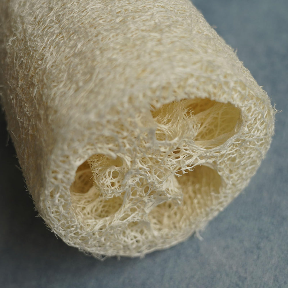 Rainlily Wen lufa de ducha con mango largo para exfoliar la piel